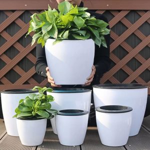 Self Watering Flower Plants Pot