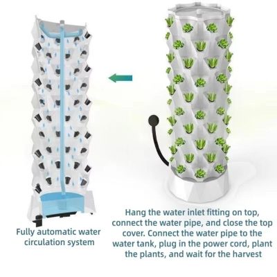 Intelligent Hydroponic Growing Box
