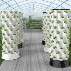Intelligent Hydroponic Growing Box